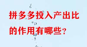 拼多多投入產出比的作用有哪些